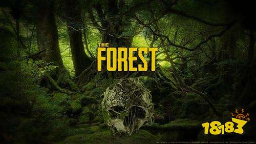 单机游戏排行榜2028868体育中国官方平台4前十名 十大最好玩的单机游戏推荐(图6)