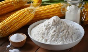 8868体育官网2023年中国赛车游戏行业发展现状分析：未来赛车游戏将更加注重竞技性和专业性(图3)