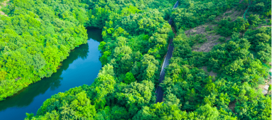 8868体育中国官方平台融创山云轩首页网站-山云轩-欢迎您-楼盘详情价格户型(图5)