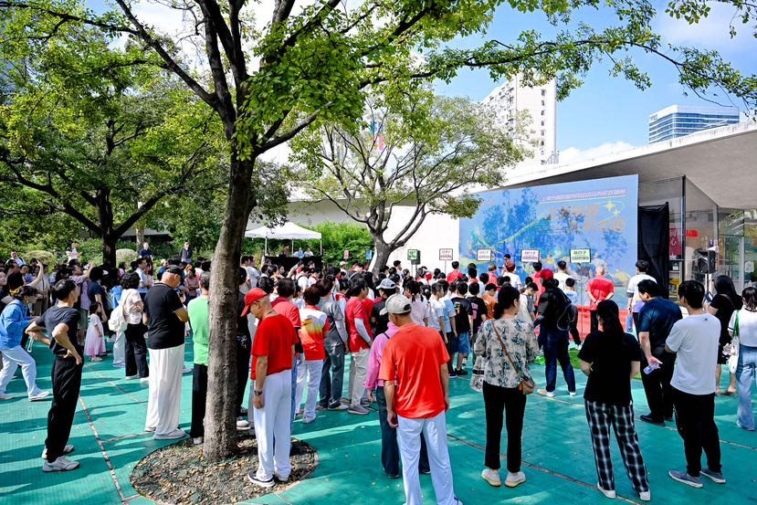 【知识产权声明】