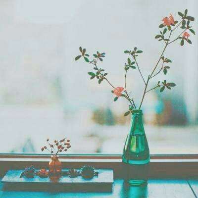 2023历史记录完整版